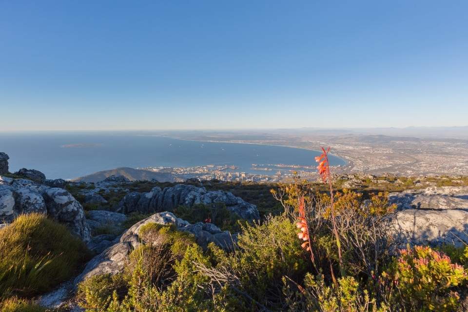 Is Table Mountain A World Heritage Site?