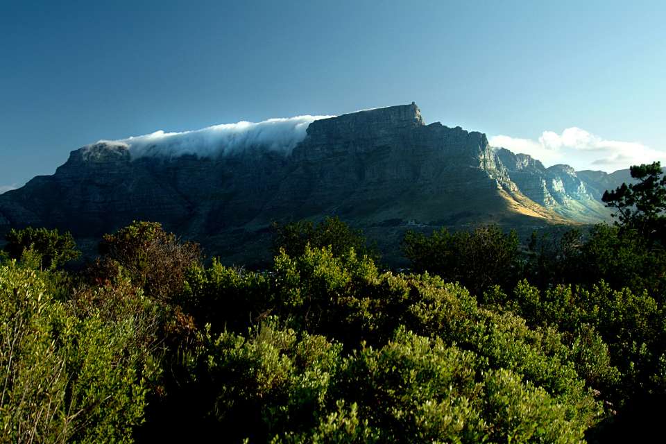 What Causes The Table Cloth On Table Mountain?